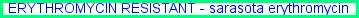 Erythromycin